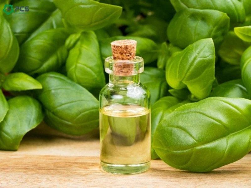 Cách đuổi gián trong phòng ngủ 